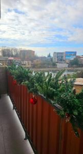 Tatulis house white bridge