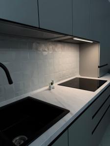 Modern Majesty Apartament