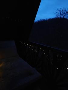 UNDER THE GREEN ROOF