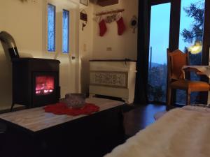 UNDER THE GREEN ROOF