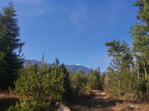 Pirin Golf Cozy Studio