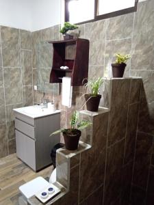 Pino Lodge, Río Celeste