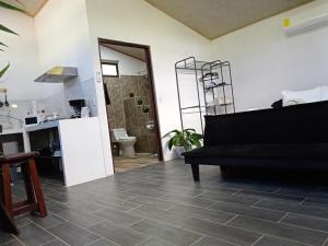 Pino Lodge, Río Celeste