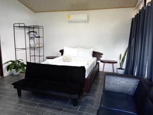 Pino Lodge, Río Celeste