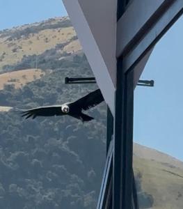 Ncielo Adventure Lodge