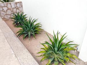 Ocean View House 2R2.5B c Alberca & Asador