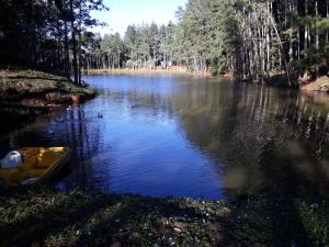 Hacienda MartinezSierra