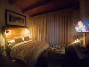 Country Studio Apartment