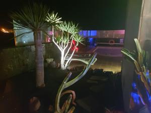 Villa Emma Playa Blanca