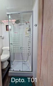 Wildepartamentos Valdivia ER