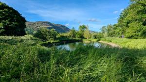 Shepherds Hut on tranquil Powis House Estate