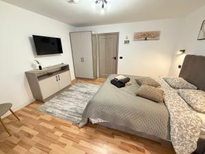 Camera Family Suceava