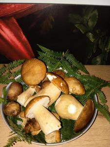 Gîte de France Cest tout vert 4 épis - Gîte de France 5 personnes MAE-9824