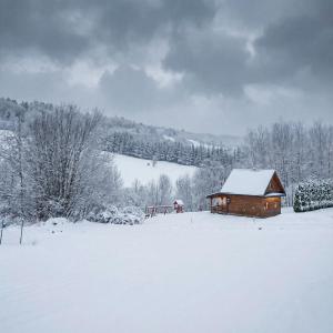 Bieszczady Żubrowe Wzgórze 785-049-543