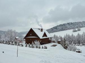 Bieszczady Żubrowe Wzgórze 785-049-543