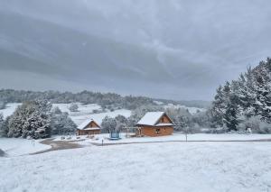 Bieszczady Żubrowe Wzgórze 785-049-543