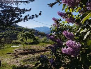 Adorable chalet de charme au coeur de la montagne