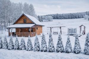 Bieszczady Żubrowe Wzgórze 785-049-543