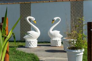 Casa em frente a praia em Barra de São João