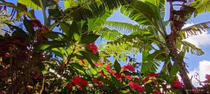 Infinite Stillness Farm