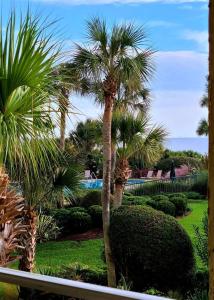 Shipwatch #1305 - Ocean Front