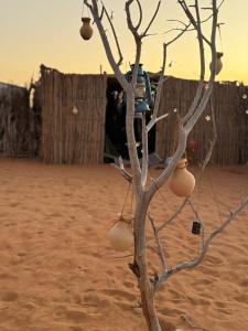 Sama Al Sharqiyah Camp