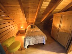 Chalets à La Bresse - LE GRIZZLY Chalet en bois avec SPA Jacuzzi MAE-8041