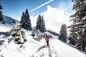 Appartements à Châtel - Yéti YT17B6 MOUNTAIN & NATURE 4 Pers. MAE-1611