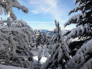Chalets à Chamrousse - Chalet des lupins - Chalet 1P2 MAE-3173