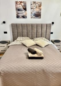 Cameră dublă Suceava