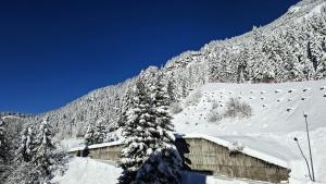 Residence De La Foret - Appartement confortable · Proche des pistes · Casier à ski MAE-7372