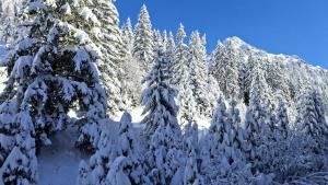 Residence De La Foret - Appartement confortable · Proche des pistes · WIFI gratuit et illimité MAE-7386