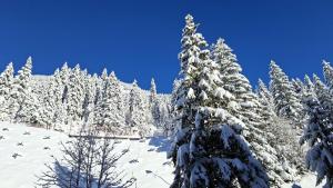 Residence De La Foret - Appartement confortable · Proche des pistes · WIFI gratuit et illimité MAE-7386