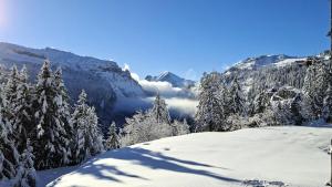 Résidence Pollux - Studio confortable avec cabine · Proche des pistes et des commerces · Balcon MAE-7415