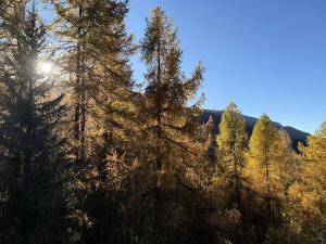 Résidence Le Meale - CENTRE-STATION Les Orres 1650 - Rés. MEALE - Studio 2-4 personnes MAE-0584