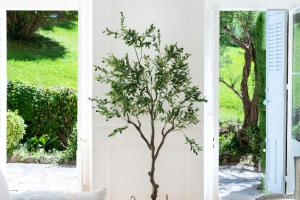 Résidence 4p Bourgeois Rez-de-jardin, Proche Croisette & Plages - 4P Bourgeois Rez-de-jardin, proche Croisette & Plages MAE-3243