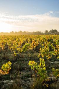 Maison à LAiguillon-sur-Vie - Lécrin des Chaumes MAE-6533