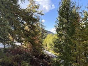 Résidence Le Pouzenc - Studio calme pied de pistes MAE-3901