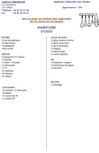 Résidence Orr Des Neiges - LES ORRES 1650 coeur de station MAE-7501