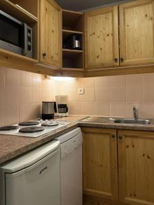 Résidence Les Eglantines - B313 LES EGLANTINES LES ORRES 1800 MAE-7183