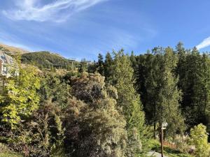 Résidence Balcon Orres - Studio 6 personnes COEUR DE STATION MAE-2873