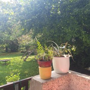 Zentral gelegene Wohnung mit grossem Garten