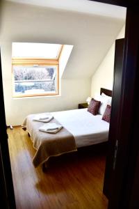 Dreaming apartment with tree Mountain view