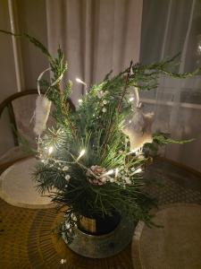 Centrum park Marii Konopnickiej