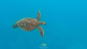 Carliza Nature Lodge