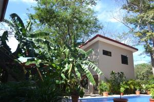 Tekana Boutique Jungle Retreat