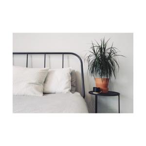 Apartament Marcelin Poznań