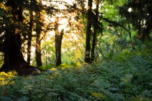 Résidence Les Chardons - Studio avec vue et balcon SUD MAE-9663