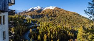 Résidence Le Belvedere - Studio tout équipé dans le coeur des Orres 1650 MAE-2923