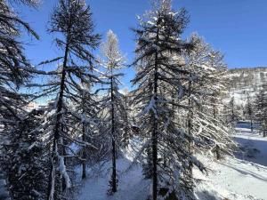 Résidence Loutagno - appartement pied des pistes MAE-4013